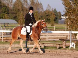 IMG_7562_web